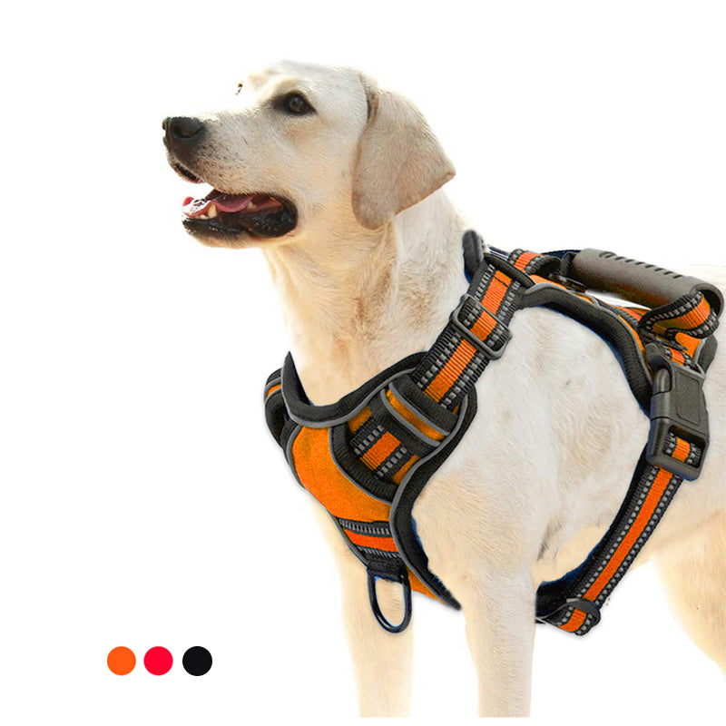 Dog Harness | Everyday Home Deal