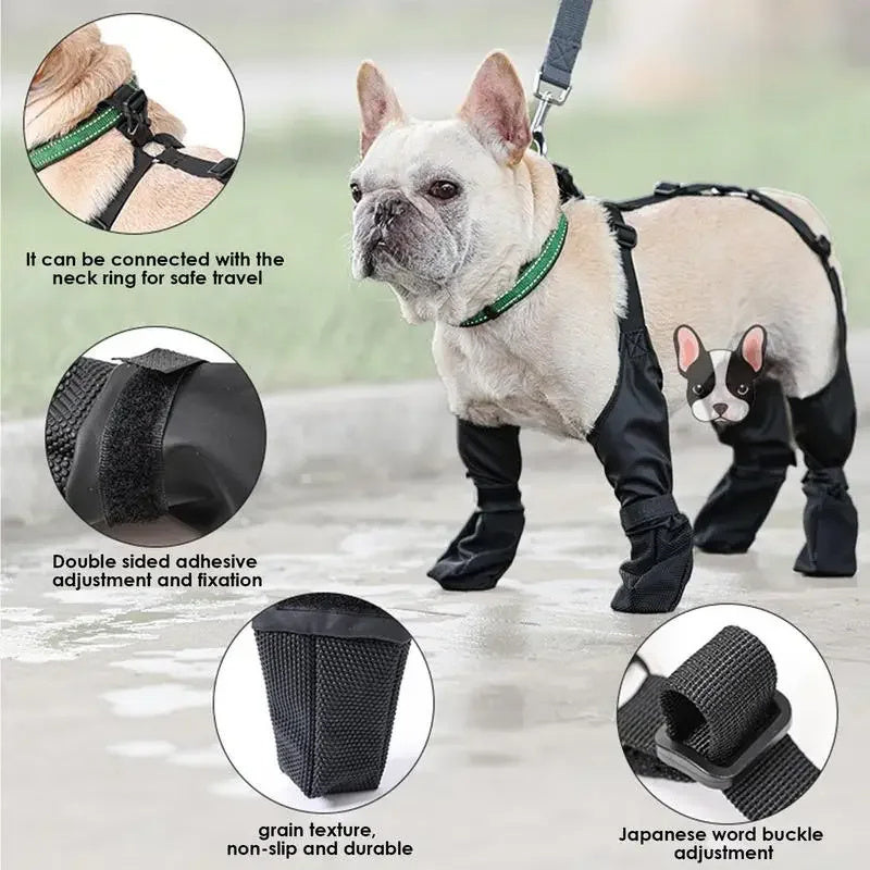 Waterproof Dog Shoes | Everyday Home Deal
