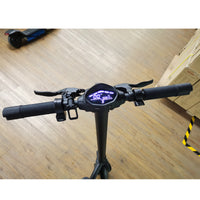 10inch Electric Scooter 36V 10AH 350W For Adults Foldable Commuting Escooter, Max Speed 16mph & Range 25 Miles, 260Lbs Max Load