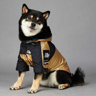 Dog Raincoat - Best Premium Pet Deal | Everyday Home Deal