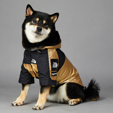 Dog Raincoat - Best Premium Pet Deal | Everyday Home Deal