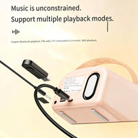 Mini Portable Karaoke Machine With Wireless Microphones