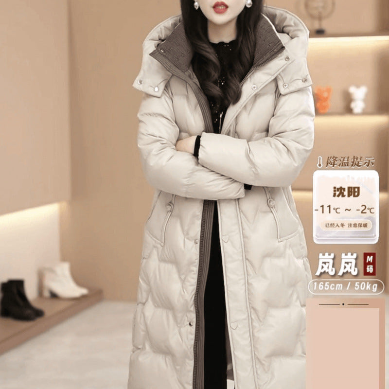 Fitted Hooded Jacket - Best Premium Clothing Deal | Everyday Home Deal