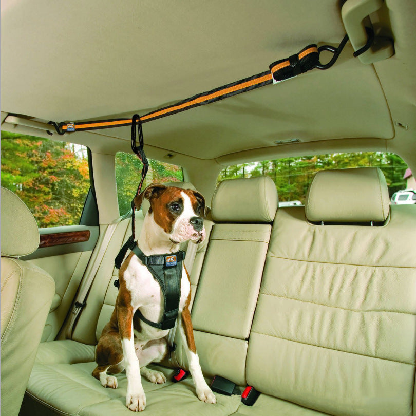 Pet Safety Belt - Best Premium Pet Deal | Everyday Home Deal