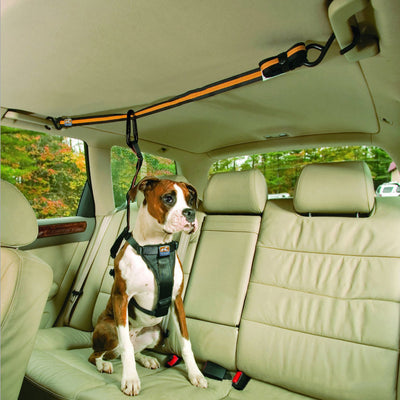 Pet Safety Belt - Best Premium Pet Deal | Everyday Home Deal