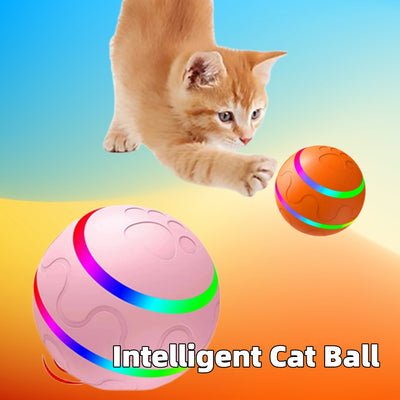Wicked Cat Ball - Best Premium Pet Deal | Everyday Home Deal