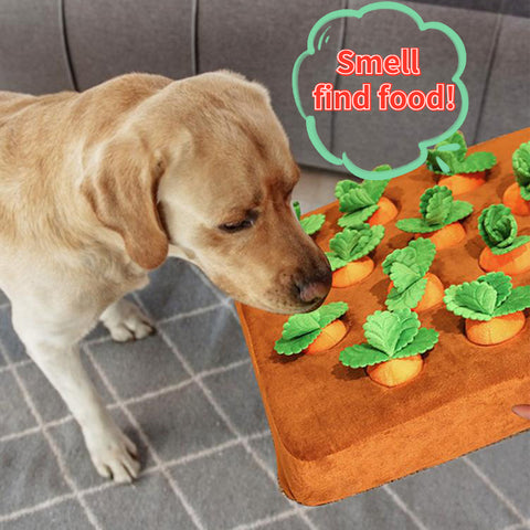 Carrot Plush Toy - Best Pet Deal | Everyday Home Deal