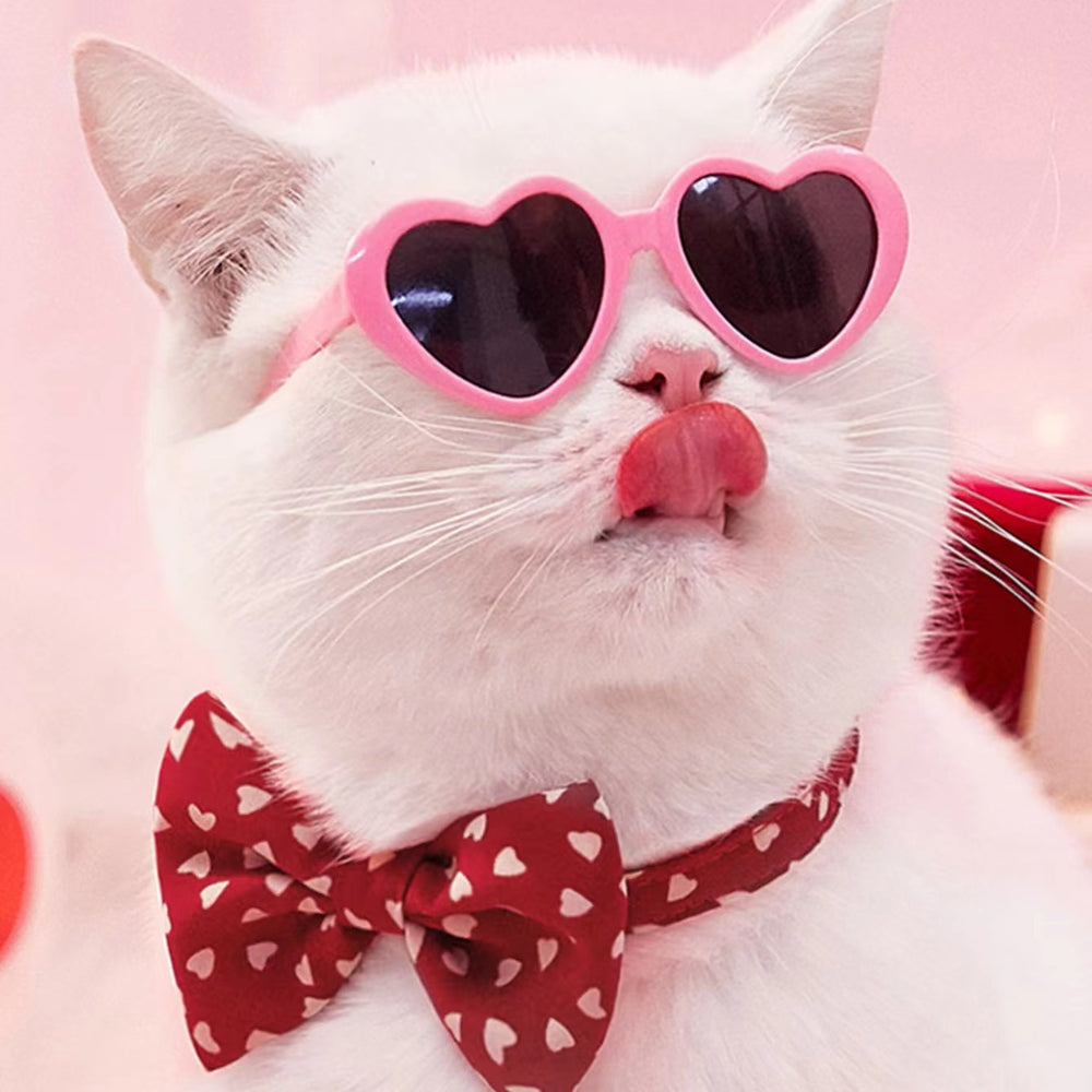 Doll Sunglasses | Everyday Home Deal
