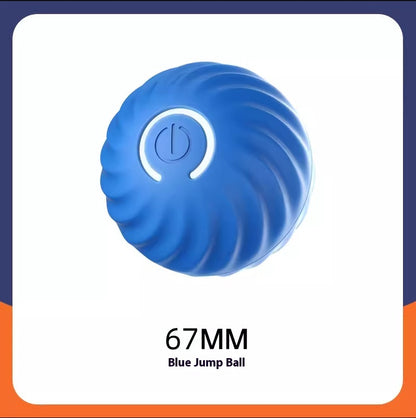Dog Rubber Ball - Best Pet Toy Deal | Everyday Home Deal