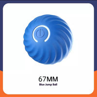 Dog Rubber Ball - Best Pet Toy Deal | Everyday Home Deal