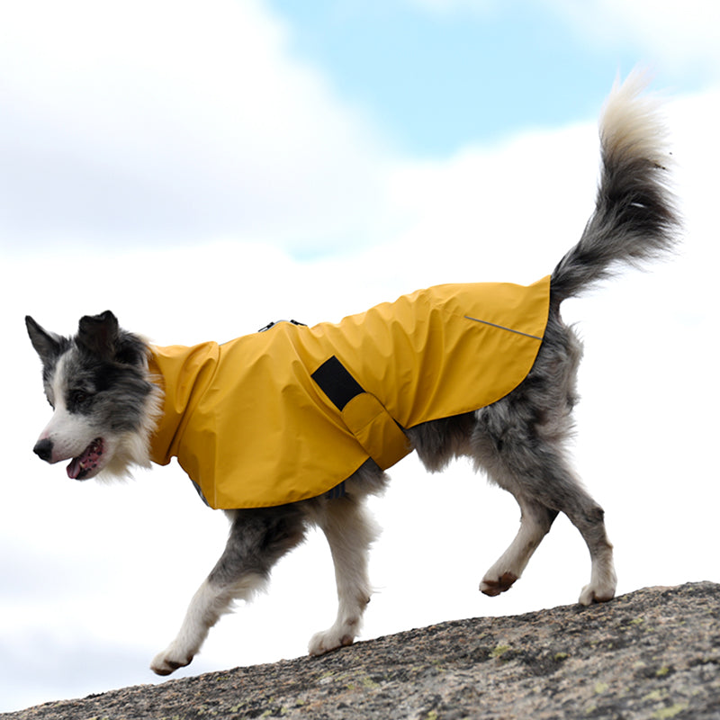Pet Shell Jacket | Everyday Home Deal