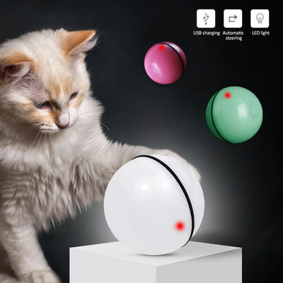 LED Cat Toy Ball - Best Pet Deal | Everyday Home Deal