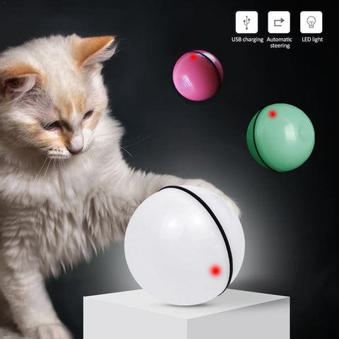 LED Cat Toy Ball - Best Pet Deal | Everyday Home Deal