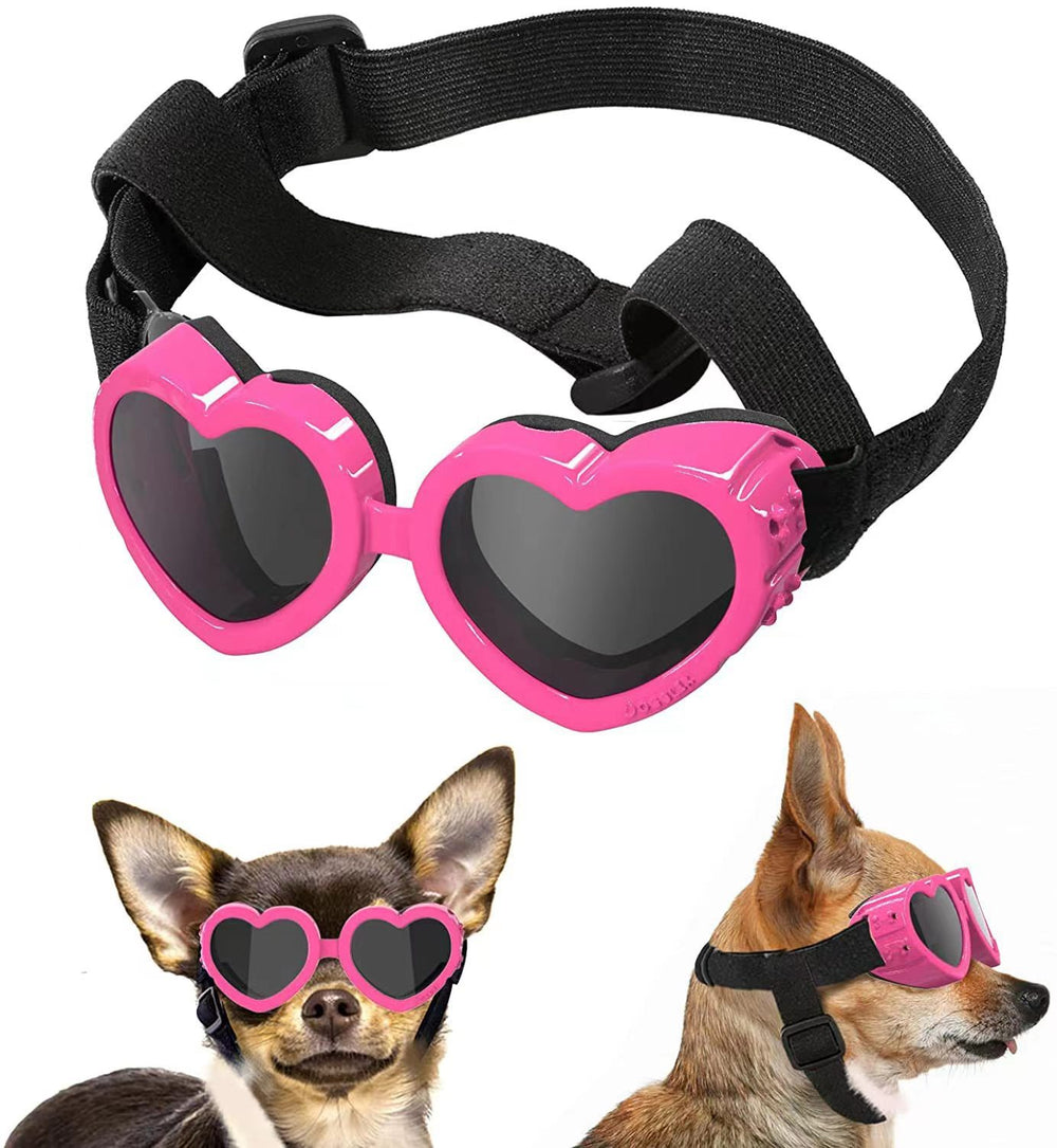 Pet Glasses | Everyday Home Deal