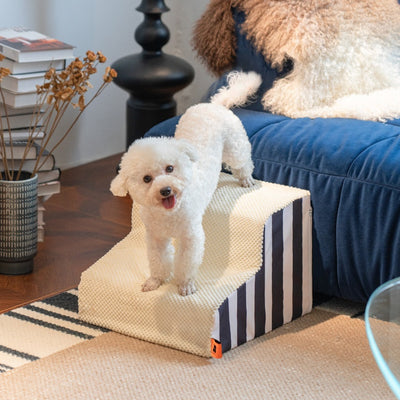 Dog Stairs | Everyday Home Deal