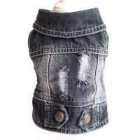 Designer Dog Denim Jacket - Premium Pro Deal | Everyday Home Deal